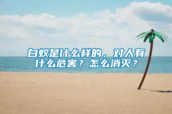 白蟻是什么樣的，對人有什么危害？怎么消滅？