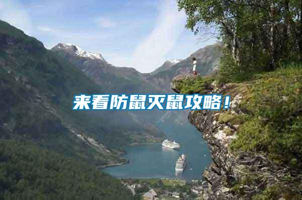 來看防鼠滅鼠攻略！