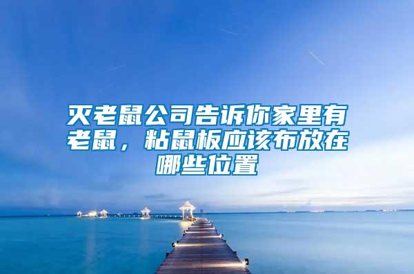 滅老鼠公司告訴你家里有老鼠，粘鼠板應該布放在哪些位置