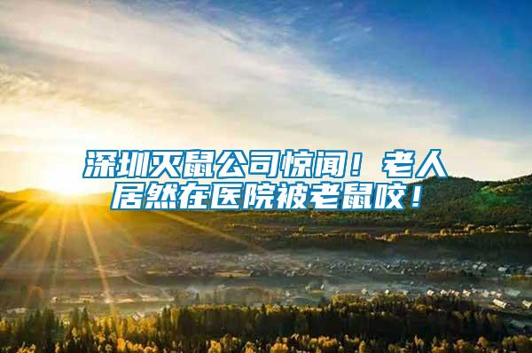 深圳滅鼠公司驚聞！老人居然在醫(yī)院被老鼠咬！