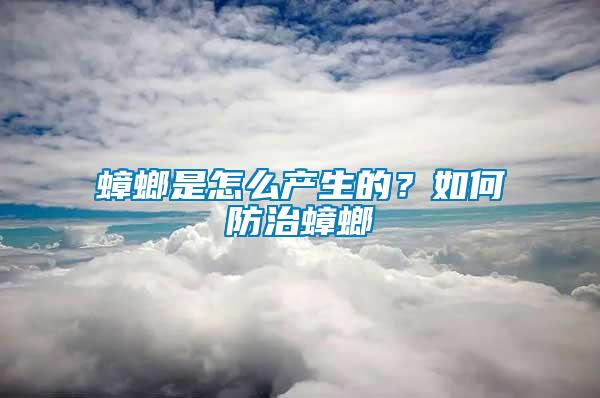 蟑螂是怎么產生的？如何防治蟑螂