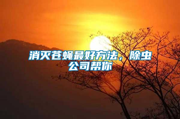 消滅蒼蠅最好方法，除蟲公司幫你