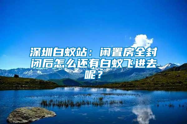 深圳白蟻站：閑置房全封閉后怎么還有白蟻飛進(jìn)去呢？