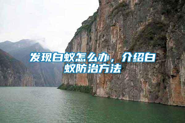 發(fā)現(xiàn)白蟻怎么辦，介紹白蟻防治方法