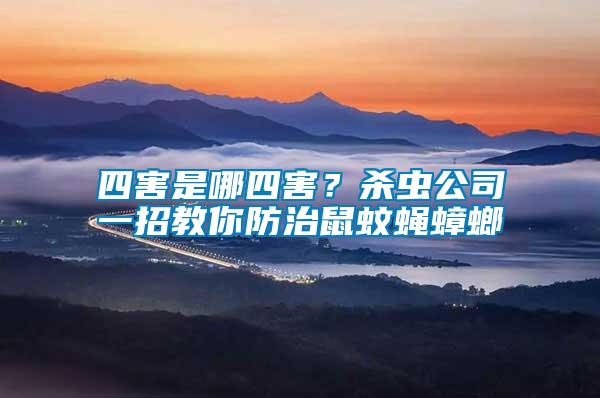 四害是哪四害？殺蟲公司一招教你防治鼠蚊蠅蟑螂