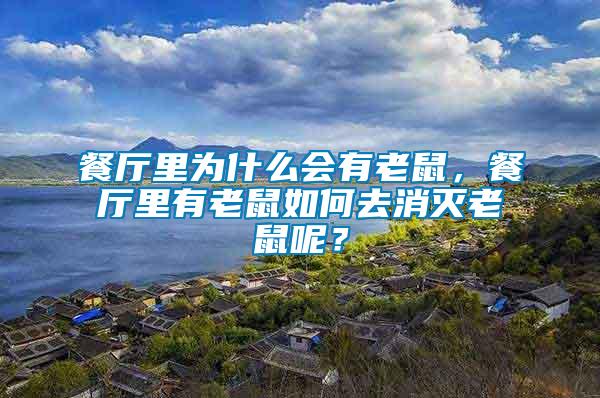 餐廳里為什么會有老鼠，餐廳里有老鼠如何去消滅老鼠呢？