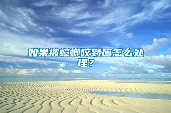 如果被蟑螂咬到應怎么處理？