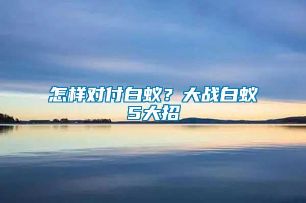 怎樣對(duì)付白蟻？大戰(zhàn)白蟻5大招