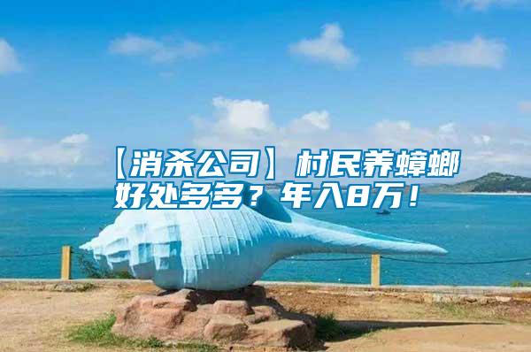 【消殺公司】村民養(yǎng)蟑螂好處多多？年入8萬！