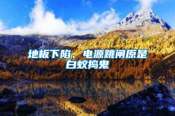 地板下陷、電源跳閘原是白蟻搗鬼