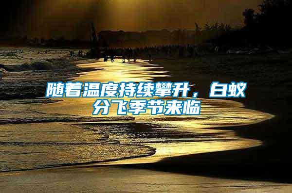 隨著溫度持續(xù)攀升，白蟻分飛季節(jié)來(lái)臨