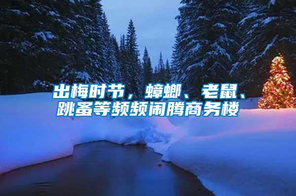 出梅時節(jié)，蟑螂、老鼠、跳蚤等頻頻鬧騰商務(wù)樓