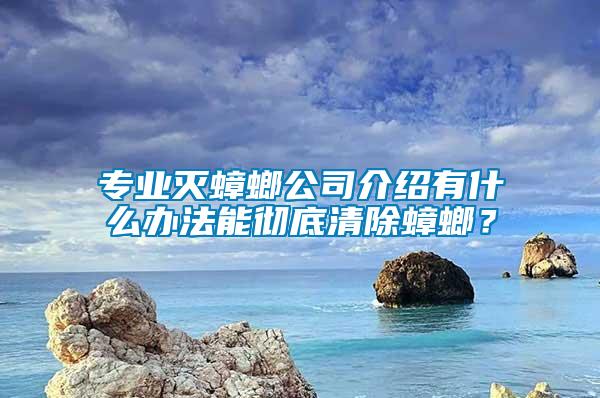 專業(yè)滅蟑螂公司介紹有什么辦法能徹底清除蟑螂？