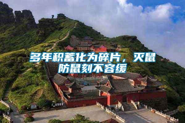 多年積蓄化為碎片，滅鼠防鼠刻不容緩