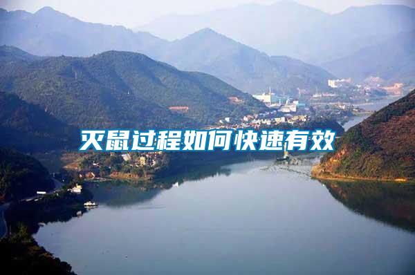 滅鼠過(guò)程如何快速有效