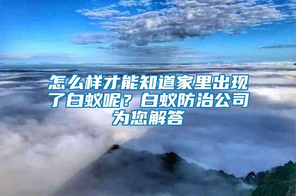 怎么樣才能知道家里出現(xiàn)了白蟻呢？白蟻防治公司為您解答