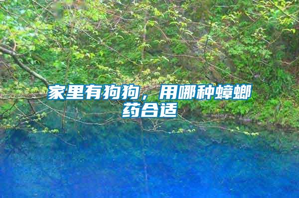 家里有狗狗，用哪種蟑螂藥合適