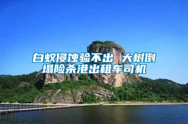 白蟻侵蝕驗(yàn)不出 大樹倒塌險(xiǎn)殺港出租車司機(jī)