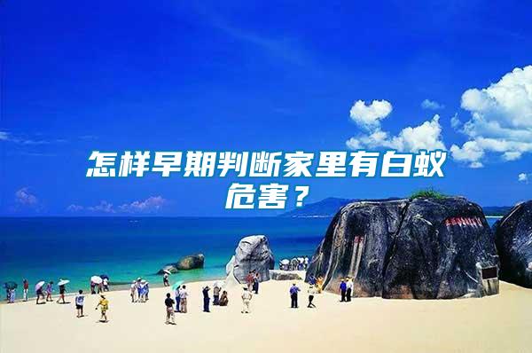 怎樣早期判斷家里有白蟻危害？