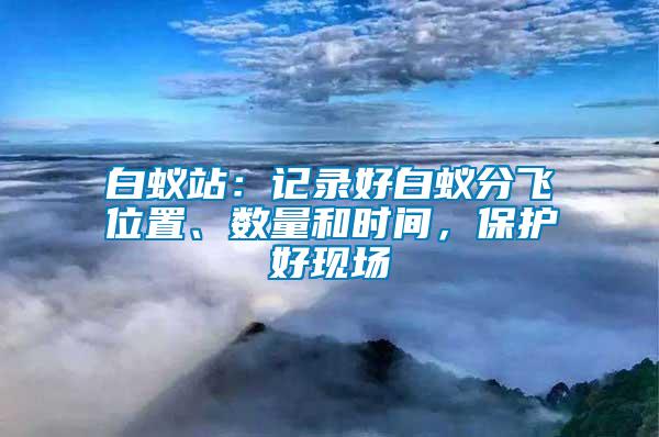 白蟻站：記錄好白蟻分飛位置、數量和時間，保護好現場