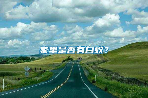 家里是否有白蟻？