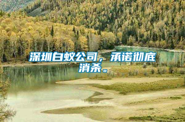 深圳白蟻公司，承諾徹底消殺。
