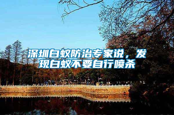 深圳白蟻防治專家說，發(fā)現(xiàn)白蟻不要自行噴殺