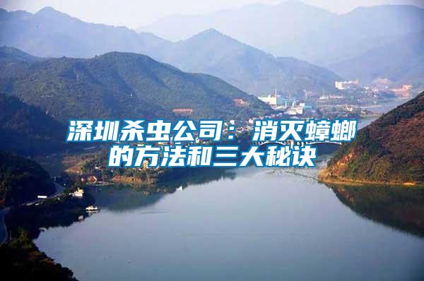 深圳殺蟲(chóng)公司：消滅蟑螂的方法和三大秘訣