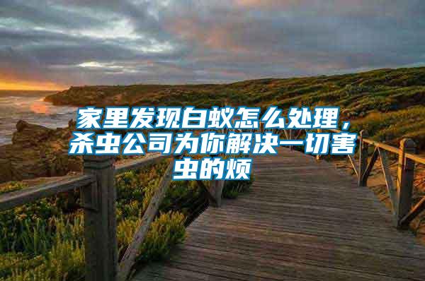 家里發(fā)現(xiàn)白蟻怎么處理，殺蟲公司為你解決一切害蟲的煩