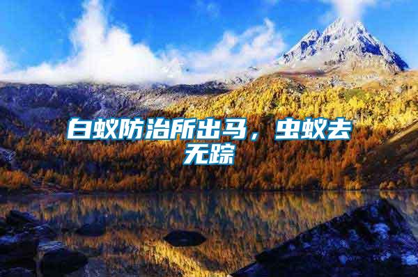 白蟻防治所出馬，蟲蟻去無蹤