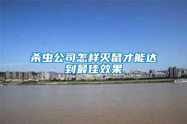 殺蟲(chóng)公司怎樣滅鼠才能達(dá)到最佳效果
