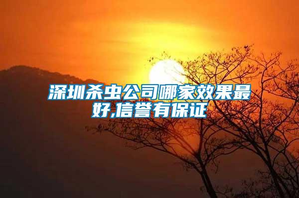 深圳殺蟲(chóng)公司哪家效果最好,信譽(yù)有保證