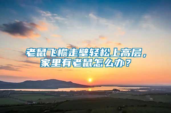 老鼠飛檐走壁輕松上高層，家里有老鼠怎么辦？