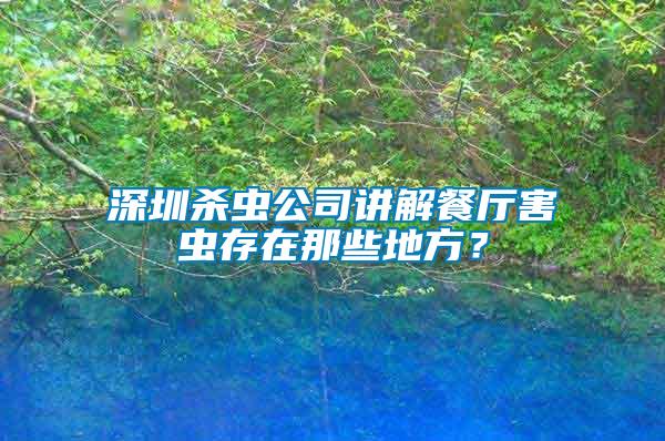 深圳殺蟲公司講解餐廳害蟲存在那些地方？