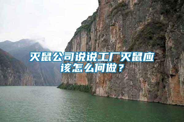 滅鼠公司說說工廠滅鼠應(yīng)該怎么何做？