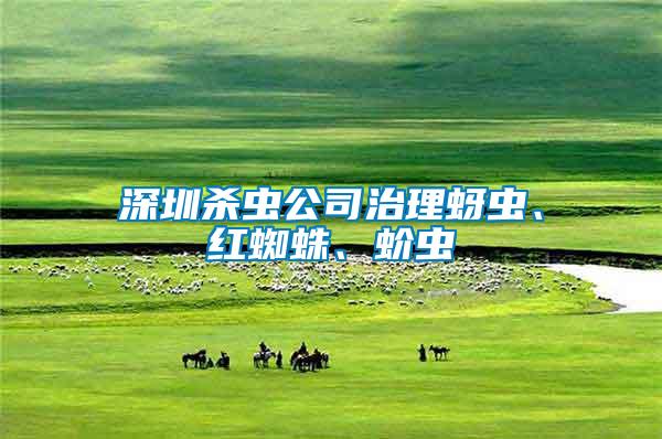 深圳殺蟲公司治理蚜蟲、紅蜘蛛、蚧蟲