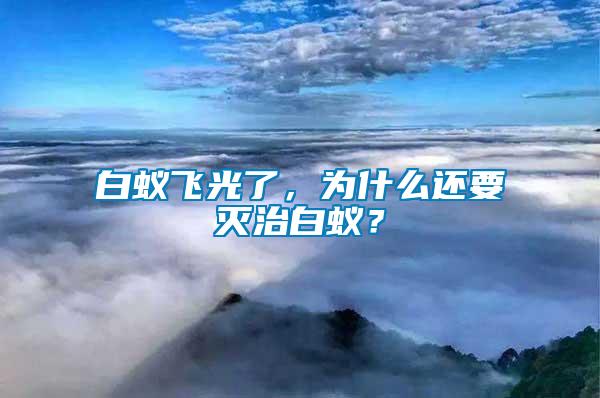 白蟻飛光了，為什么還要滅治白蟻？