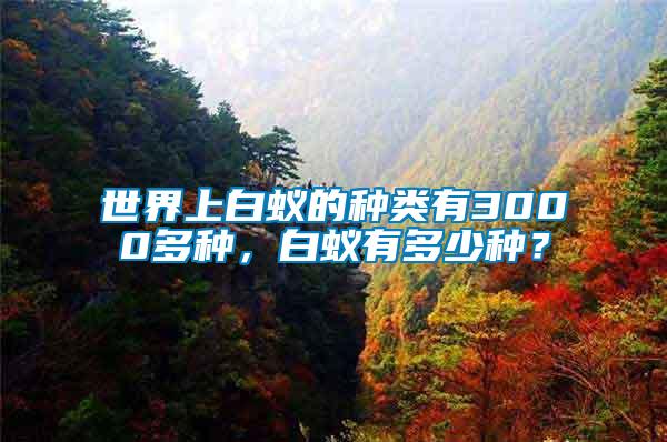 世界上白蟻的種類有3000多種，白蟻有多少種？
