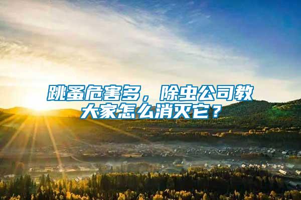跳蚤危害多，除蟲公司教大家怎么消滅它？