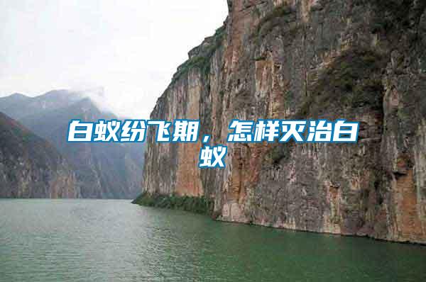 白蟻紛飛期，怎樣滅治白蟻