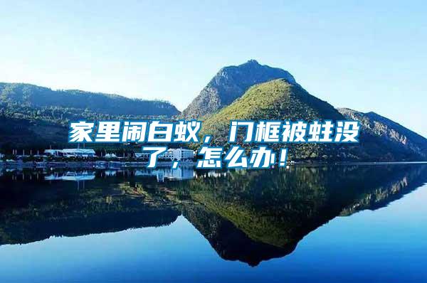 家里鬧白蟻，門框被蛀沒了，怎么辦！