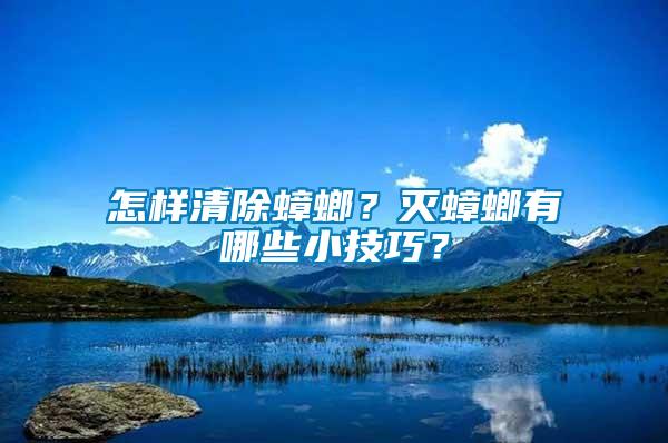 怎樣清除蟑螂？滅蟑螂有哪些小技巧？