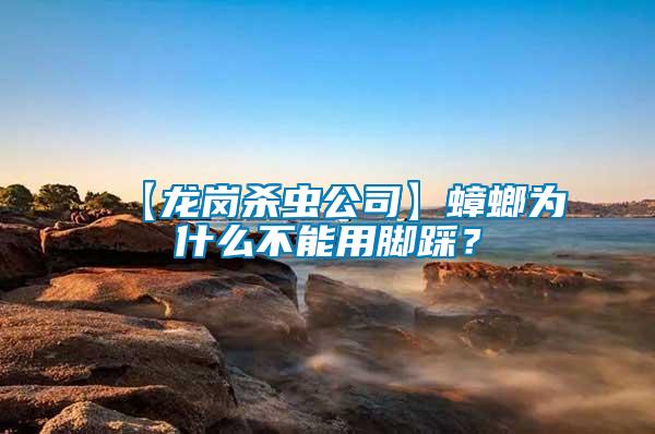 【龍崗殺蟲公司】蟑螂為什么不能用腳踩？