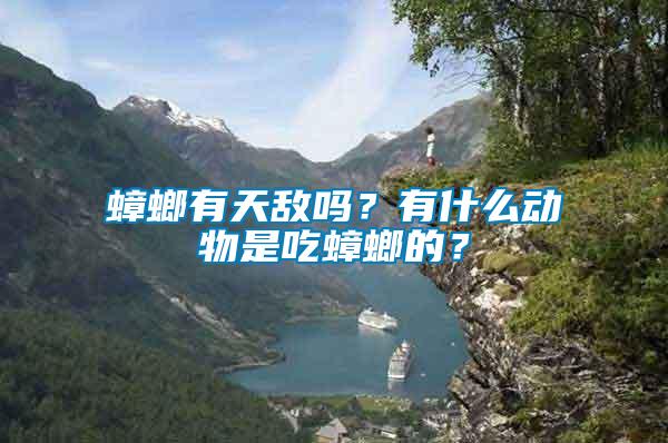 蟑螂有天敵嗎？有什么動物是吃蟑螂的？