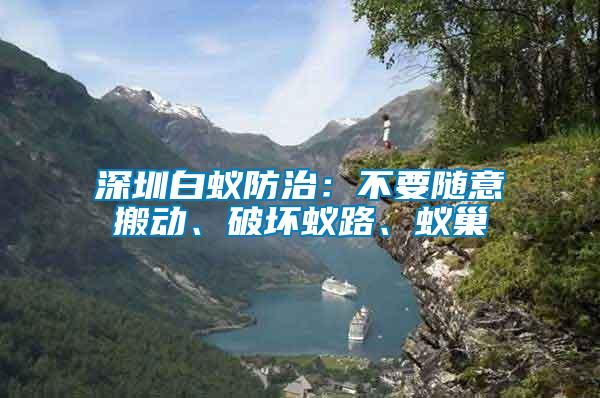 深圳白蟻防治：不要隨意搬動、破壞蟻路、蟻巢