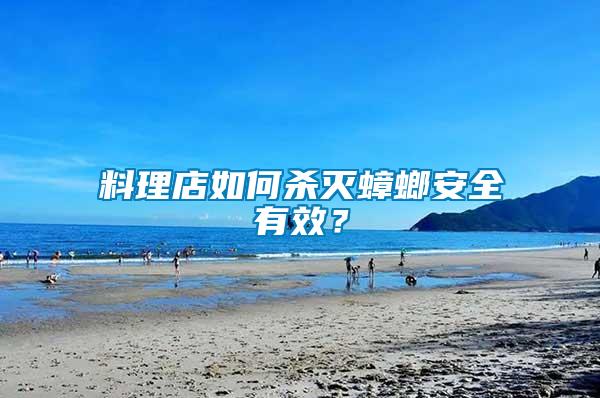 料理店如何殺滅蟑螂安全有效？
