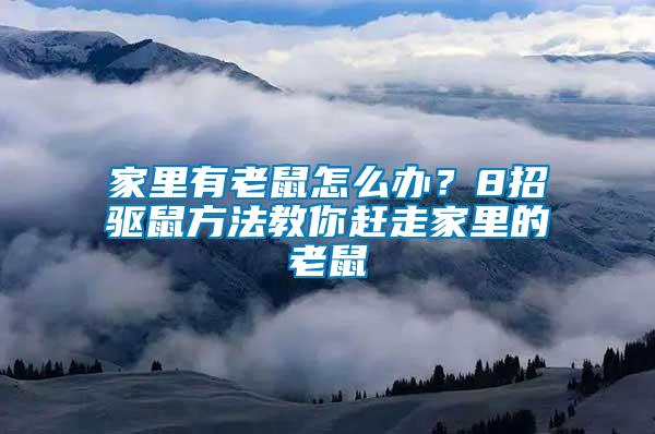 家里有老鼠怎么辦？8招驅(qū)鼠方法教你趕走家里的老鼠