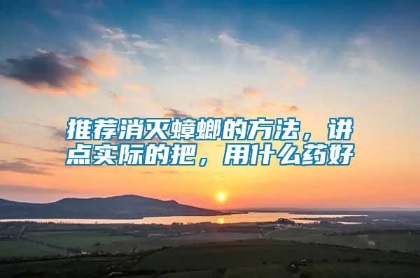 推薦消滅蟑螂的方法，講點(diǎn)實(shí)際的把，用什么藥好