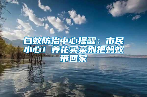 白蟻防治中心提醒：市民小心！養(yǎng)花買(mǎi)菜別把螞蟻帶回家