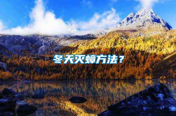 冬天滅蟑方法？